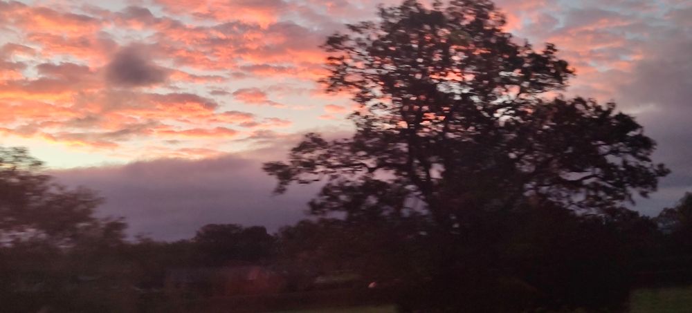 This one shows a purple sunrise behind trees