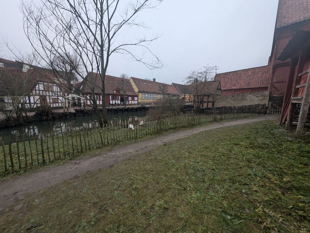 A garden next to a canal, there are swans in the garden separated from the camera by a fence. On the other side of the canal is old buildings and cobbled streets.