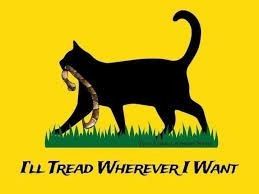 Silhouette of a cat carrying a snake on a Gadsden-yellow flag. Caption: I'll tread wherever I want 
