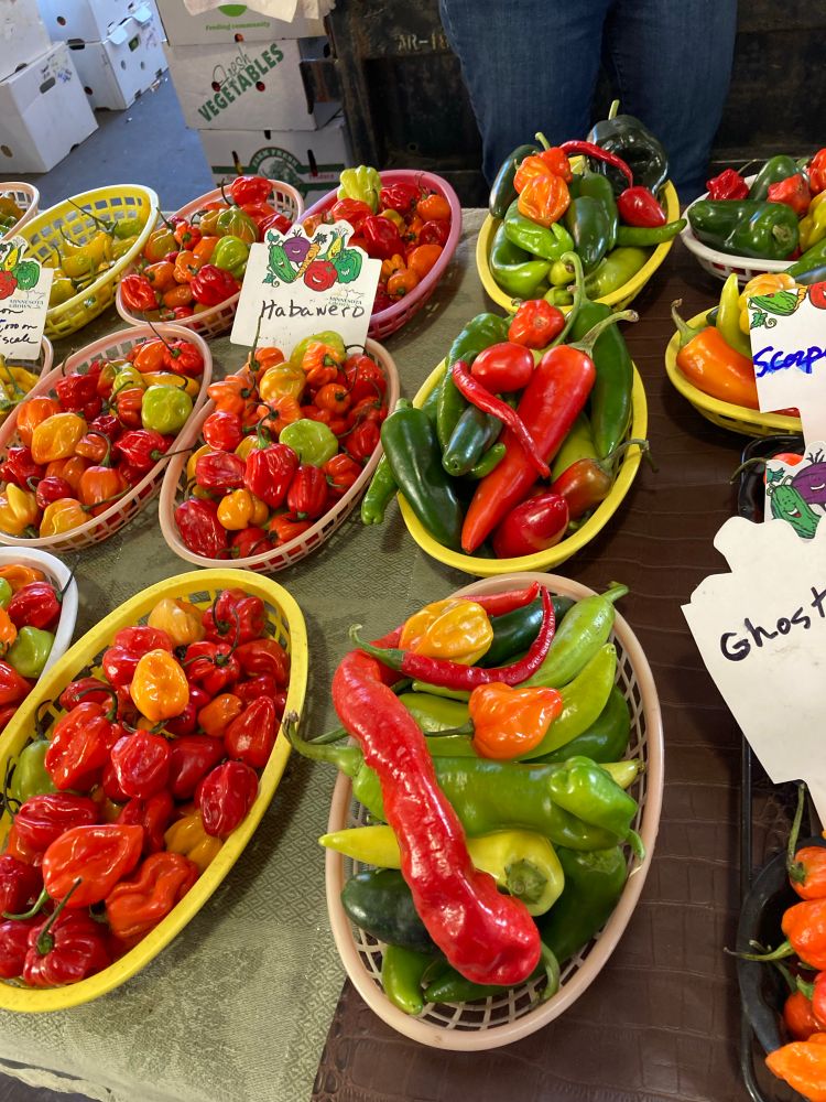 Many shapes and colors of peppers.