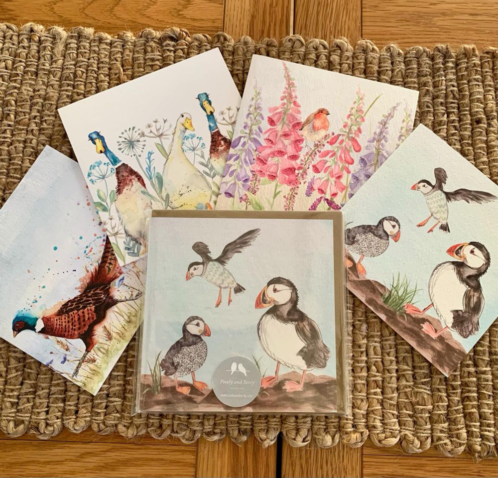 Pretty pack of four cards featuring birds including Puffin, Ducks and Robin. Cards measure 15x15cm. We're £7.50 and now have 20% off in our January sale