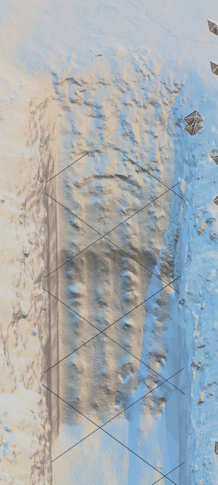 a detail from the photogrammetry model showing what appears to be teeth marks from an excavator
