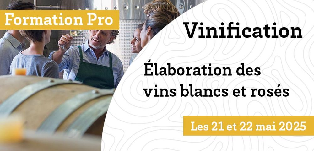 Vinification - élaboration des vins blancs et rosés, 
Détermination de la date de récolte- effet de la maturation sur le potentiel aromatique.
Maitrise et pratique des opérations pré-fermentaires.
Conduite de la fermentation.
Maîtrise de l’élevage des vins blancs et rosés.
Elaboration sous bois.
Manifestations, causes et prévention du vieillissement prématuré.
Stabilisation et Conditionnement.