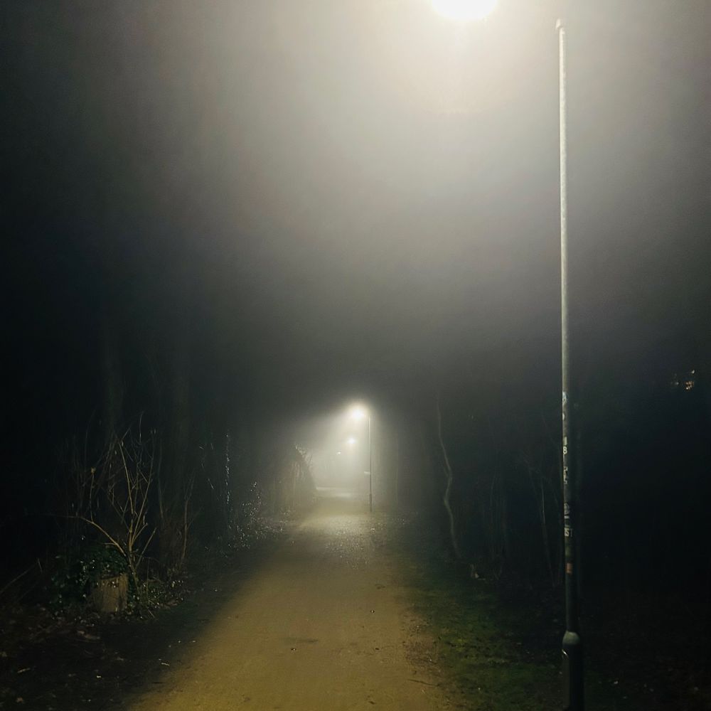 Weg, beleuchtet von Laternen im Nebel, Bäume schemenhaft am Rand zu erkennen 