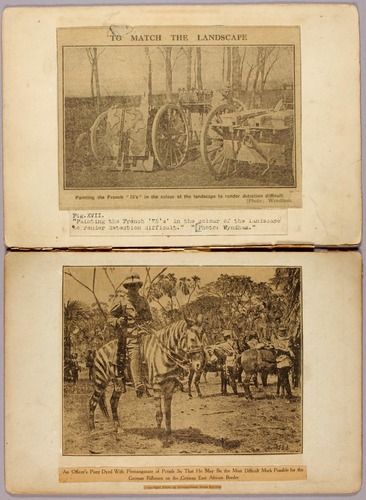 "...for War Horses and Cannon Carriage to make them Invisible", study folder for book Concealing Coloration in the Animal Kingdom