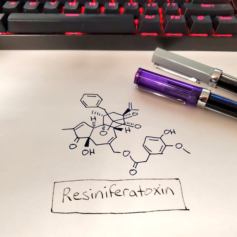 The chemical structure of resiniferatoxin, drawn with TWSBI ECO fountain pens in a dark purple and dark gray inks.