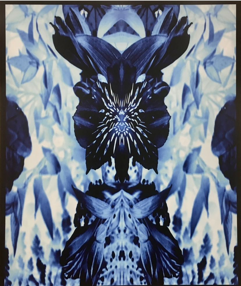 This is a blue monochromatic photo that looks like two faces (one looking left & one looking right) against an icy background!