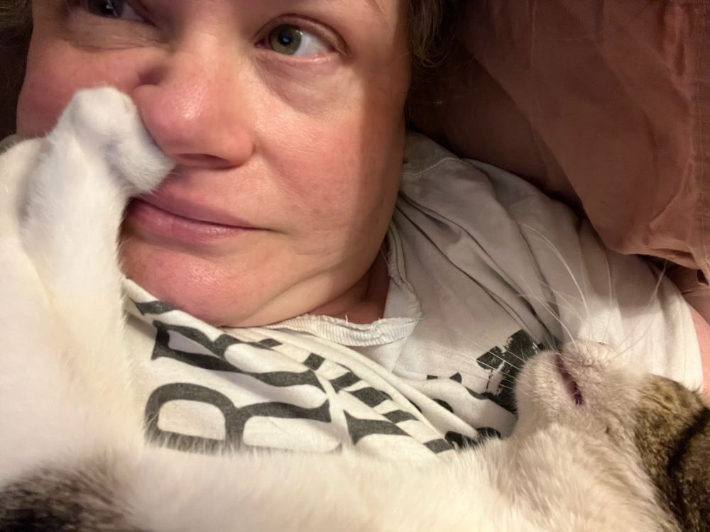 Me in bed (wearing a Strawberry Switchblade t-shirt, pop pickers) with Agatha (tabby and white cat) lying on my chest with her foot up my nose. I am v squashed with about seventeen double chins.