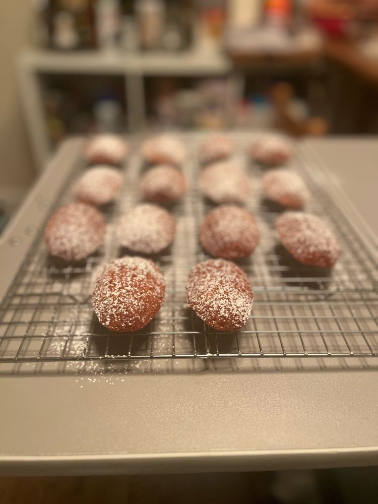 French butter cakes lined up on a cooling rack dusted in confectioners sugar