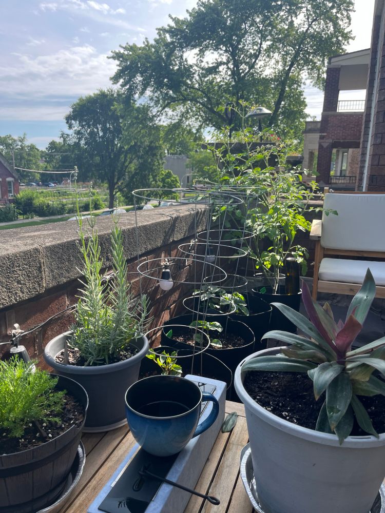 A bunch of different potted plants and a cup of coffee sprawled on a cozy balcony