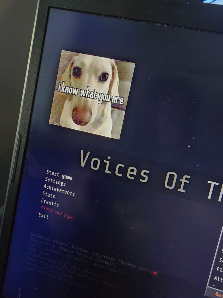 An original photo of the poster's laptop screen taken at an angle. It shows part of the Voices of The Void title screen. When unable to download assets after a few tries, a picture of a blonde wienerdog looking incredulous appears, the caption reading, "I know what you are."
