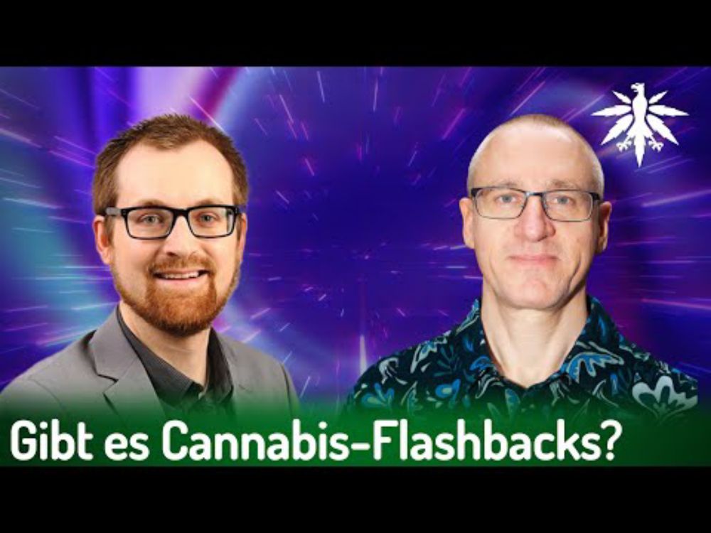 Gibt es Cannabis-Flashbacks? | Interview mit Toxikologe Dr. Steinmetz