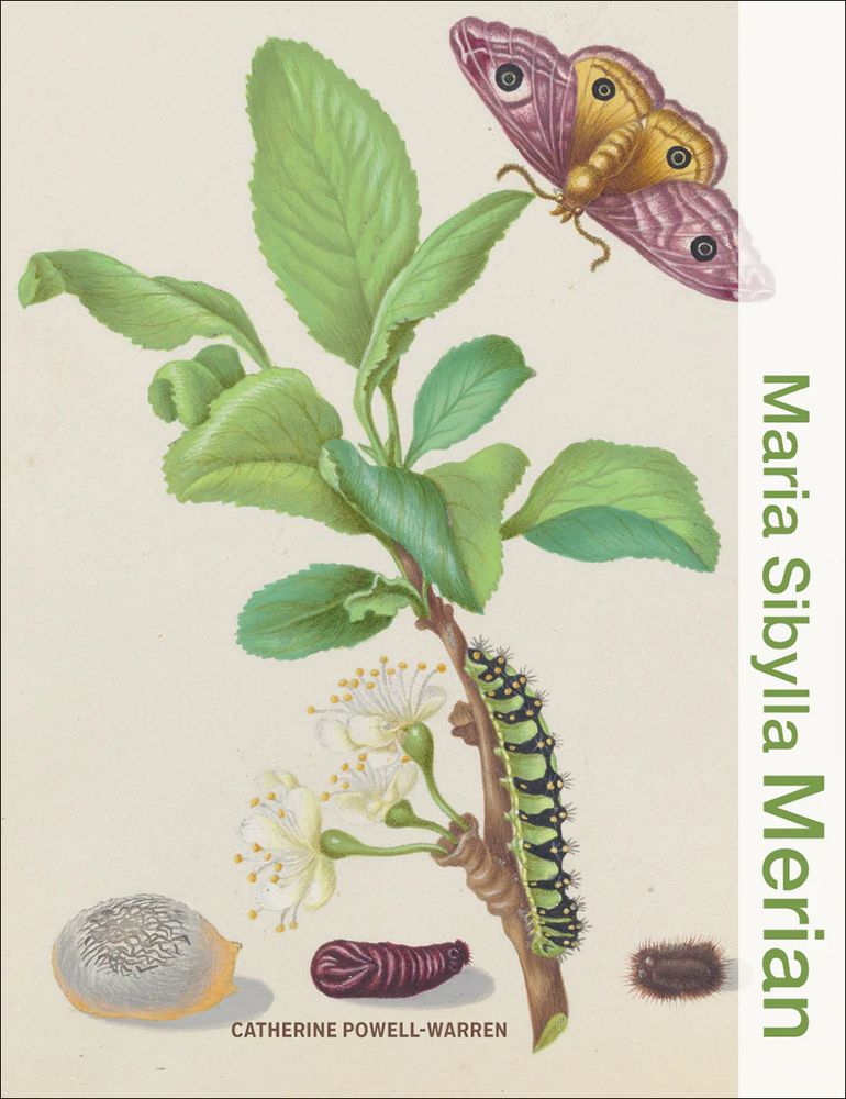 A book cover, the primary image of which is a leafy plant with a caterpillar crawling up the stem, and a purplish butterfly in the upper right corner. The title is written vertically down the right edge in green text. The author's name is presented in brown text across the bottom.
