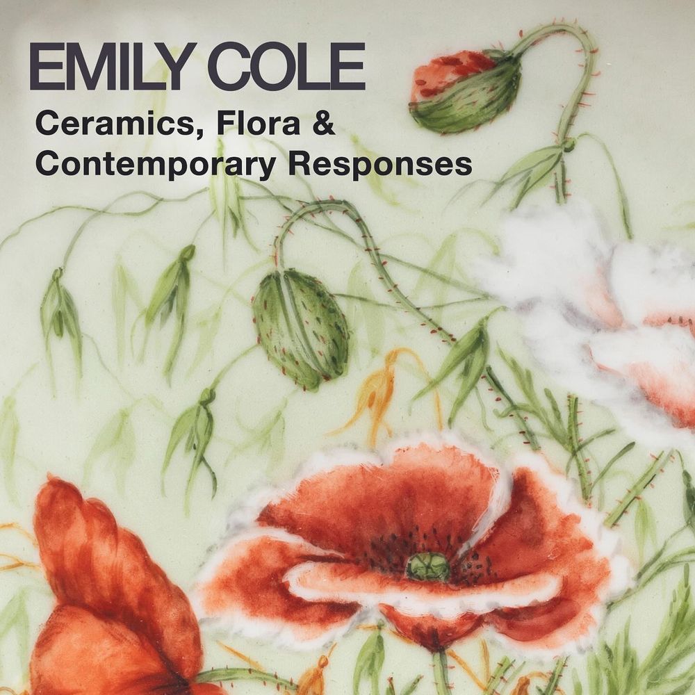 Exhibit poster featuring text in black over a background with red poppies in bloom at the bottom, and green stems and buds above. The text reads "Emily Cole: Ceramics, Flora & Contemporary Responses."