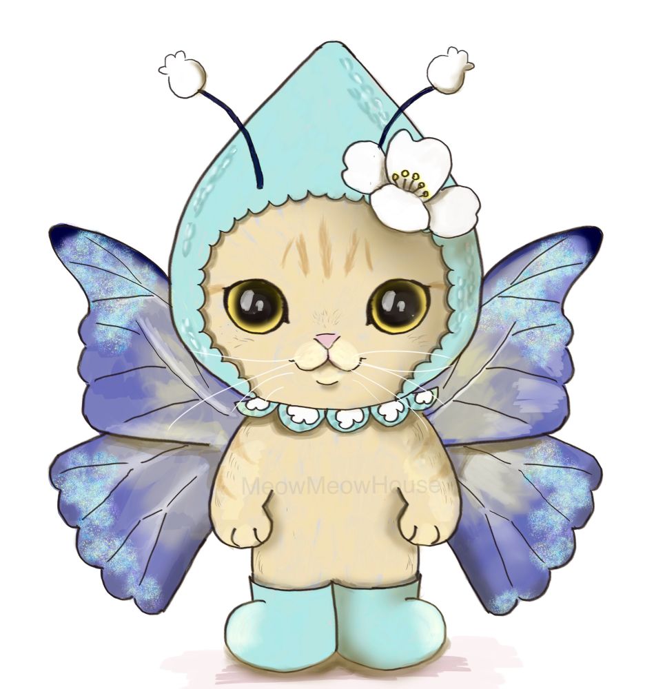 Cute little butterfly cat