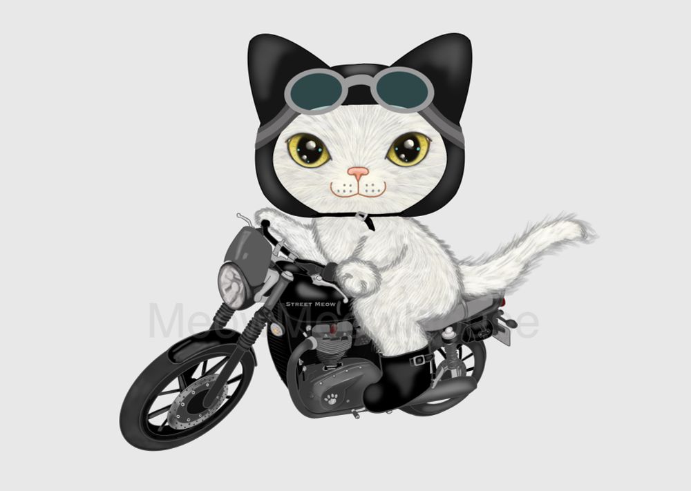 A cat is ridding a motorcycle.