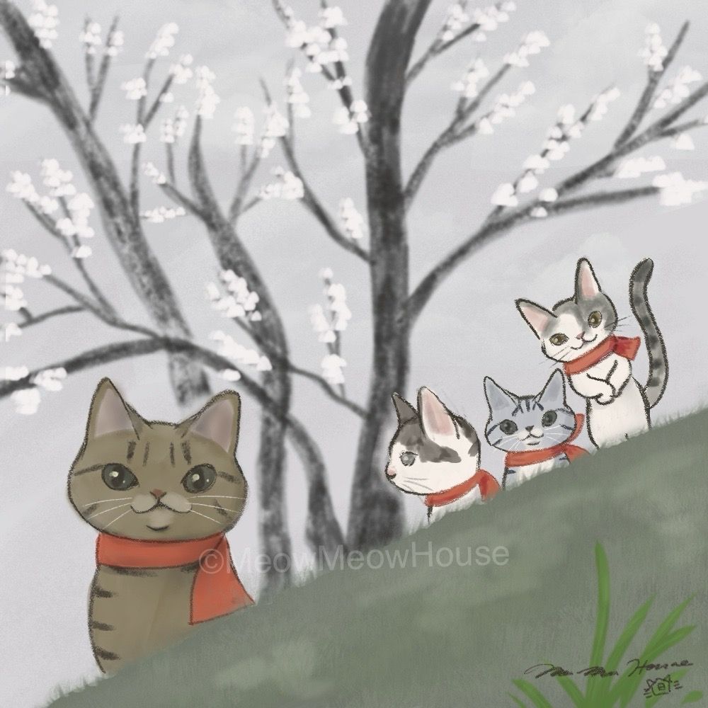 Four cats under an almond tree