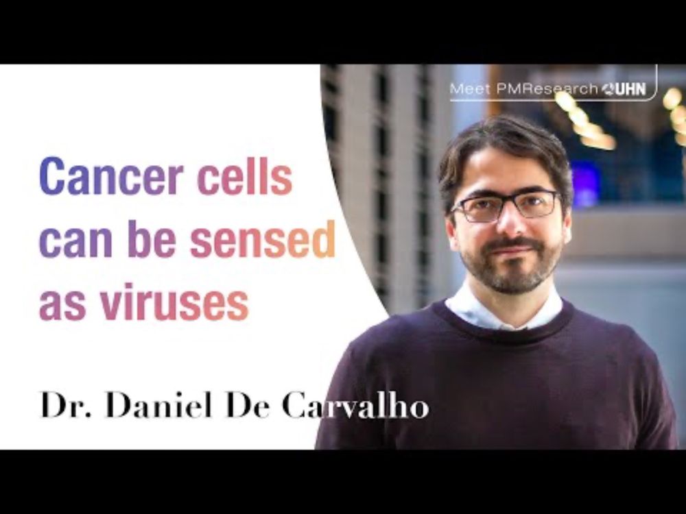 Meet Dr. Daniel De Carvalho: viral mimicry response, cancer detection and interception