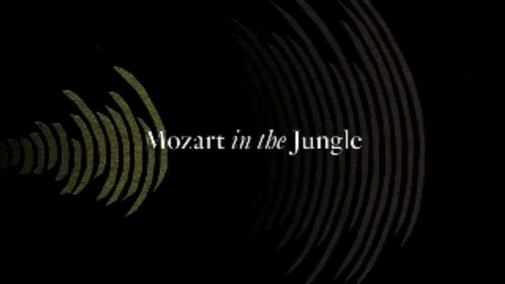 Mozart in the Jungle – Wikipédia, a enciclopédia livre