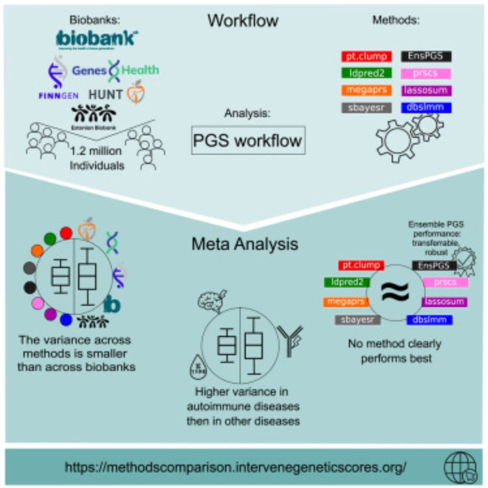 Evaluation of polygenic scoring methods in five biobanks shows larger variation between biobanks than methods and finds benefits of ensemble learning