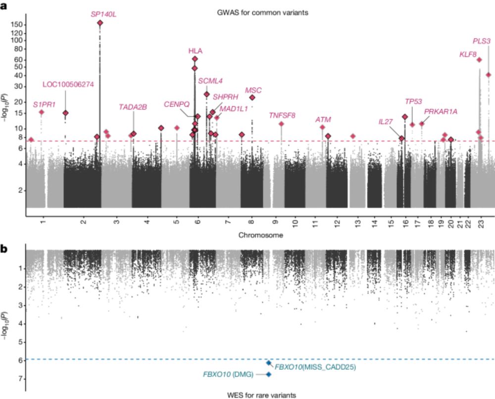 Genetic drivers and cellular selection of female mosaic X chromosome loss - Nature