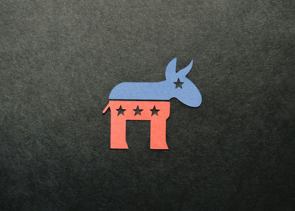 As tech billionaires embrace Trump's authoritarianism, consultants urge Democrats to bend the knee in the name of Silicon Valley 'innovation.'