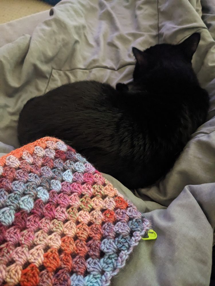 A colorful crochet project and a black cat on a grey blanket