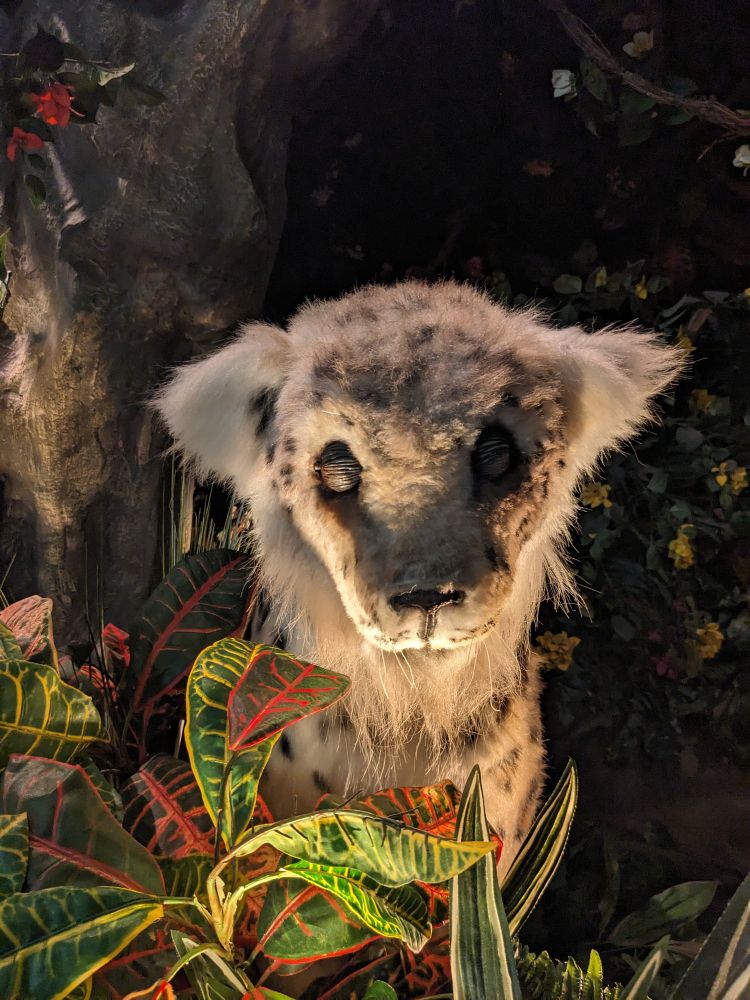 An animatronic leopard in an artificial rainforest 