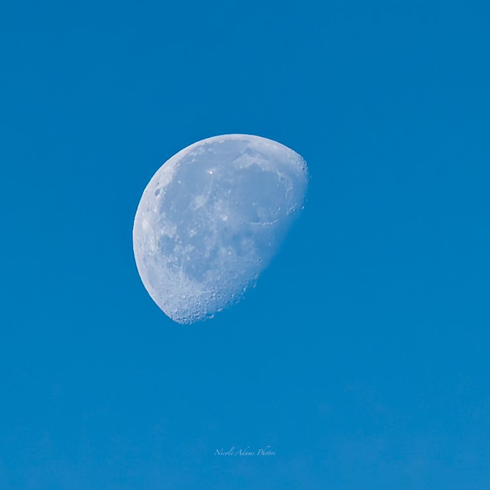 picture of the half moon in daylight against a very blue sky