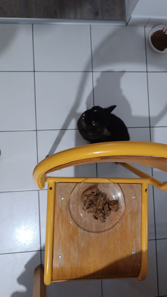 Même situation vue du dessus 10 mn plus tard 