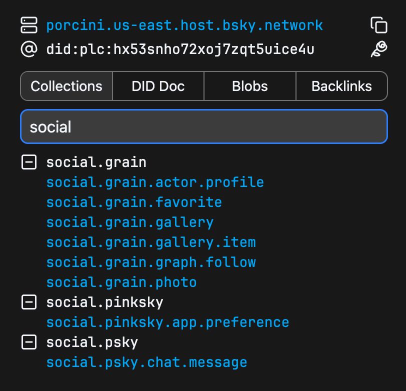 pdsls.dev repository page with only the collections starting with "social" shown