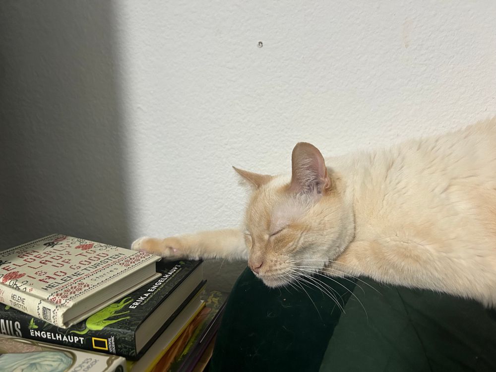 Tan Cat asleep with an arm extended and his paw touching a stack of books.