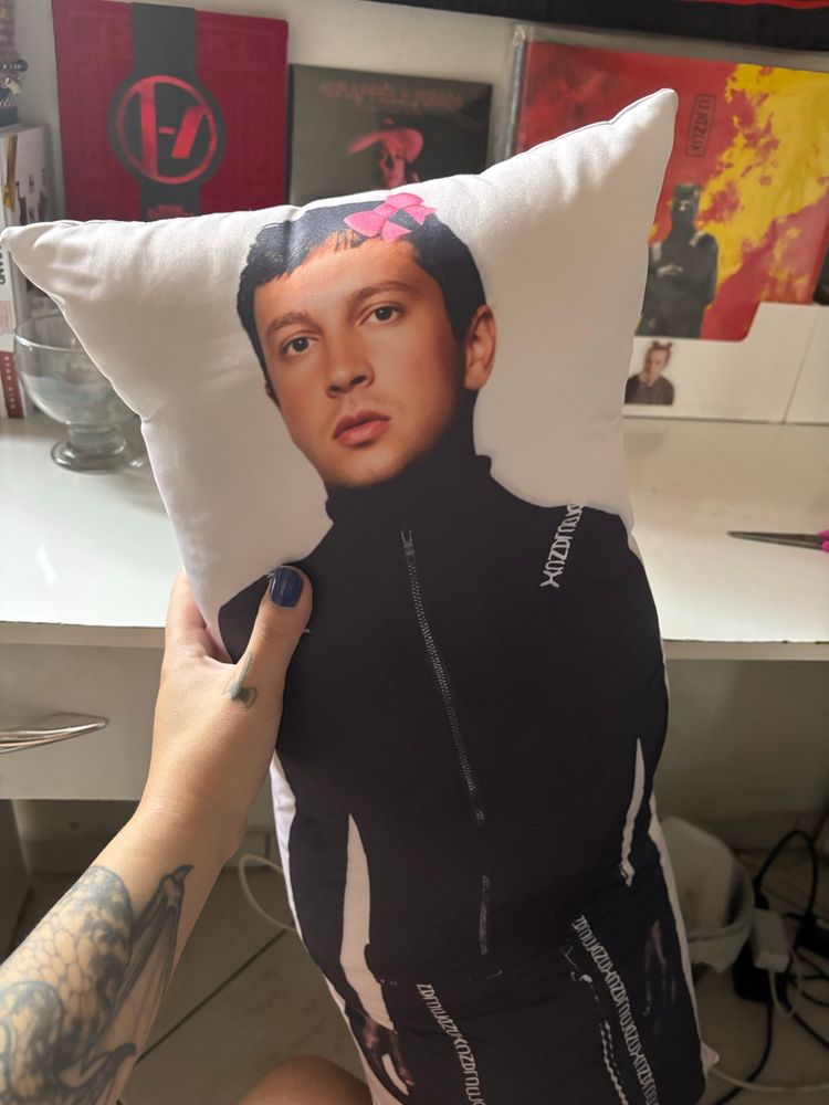 Tyler picture in a cushion