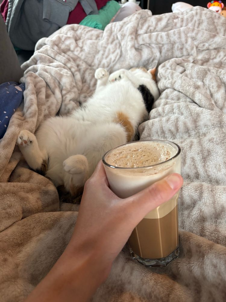 Eine Katze liegt lang ausgestreckt auf einer kuscheligen Decke und ich halte mein Glas mit Dirty Chai Latte daneben