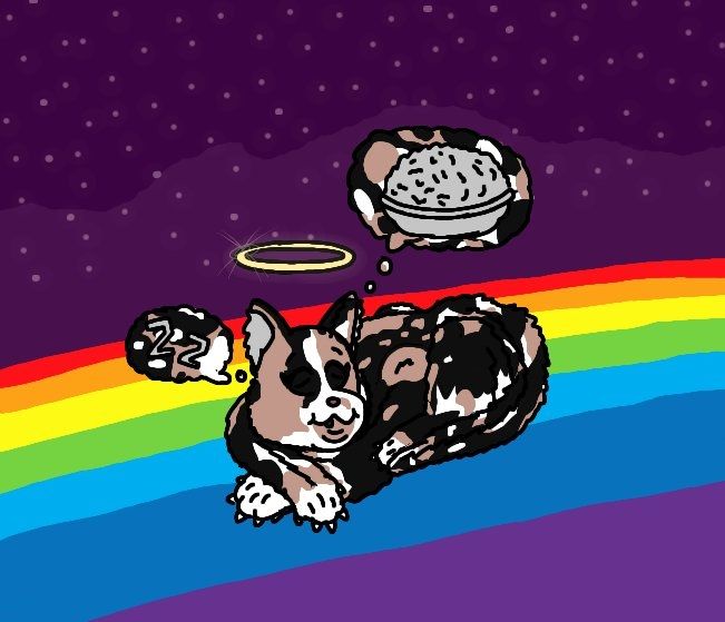 My moms cat Hilla, who she got when i was in first grade peacefully passed away on the 4.12.2025. 

She had such a lovable personality and i miss her sm already.