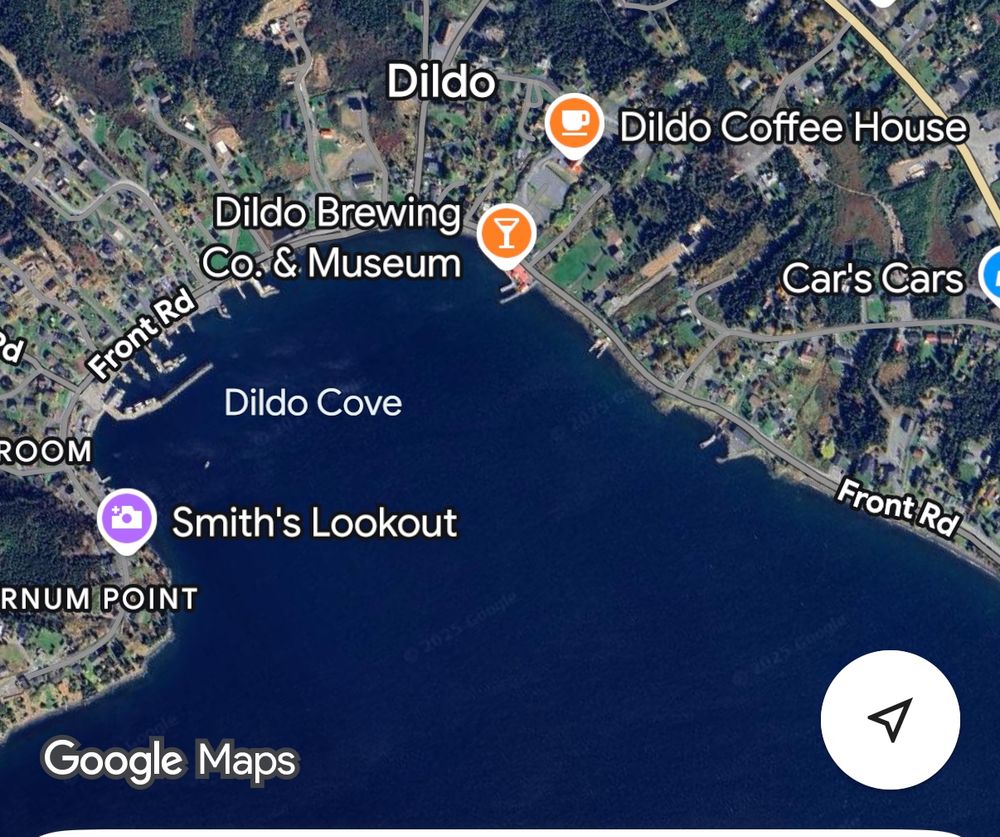 A map of Dildo Cove, Nova Scotia