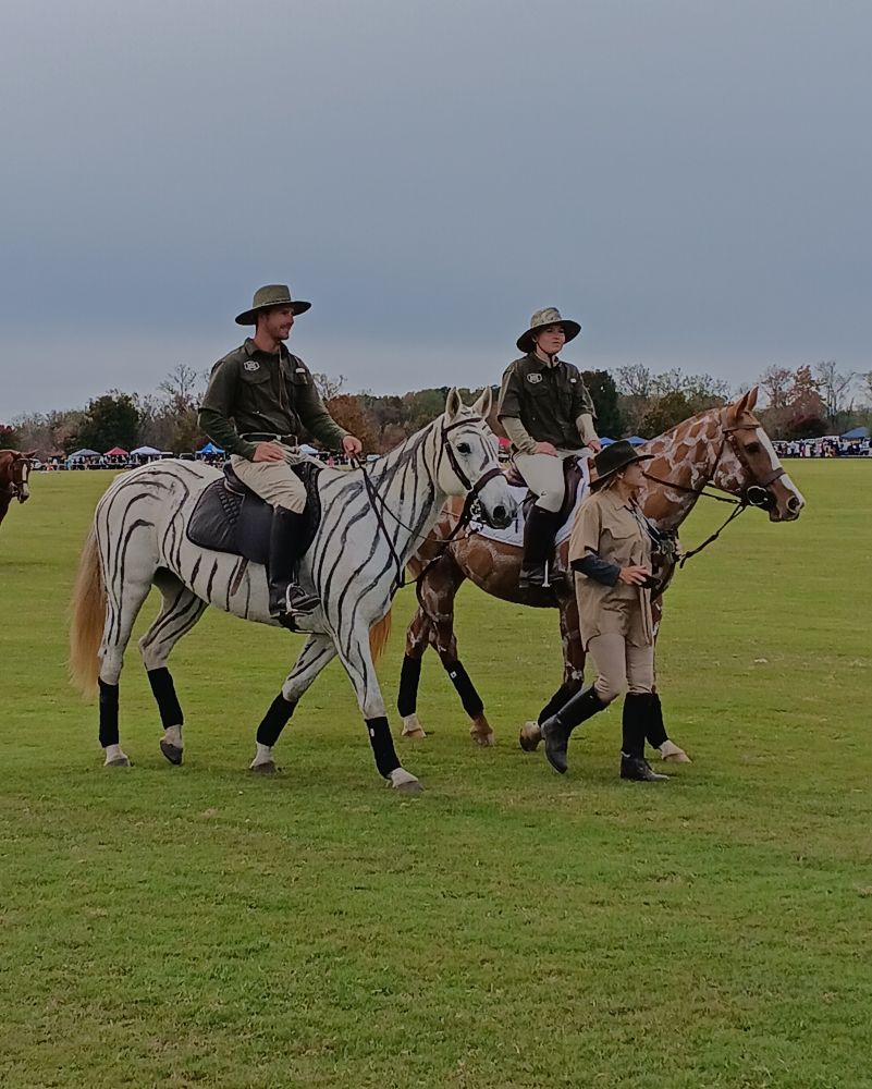 two people dressed as park rangers riding horses whose coats have been painted to look like a zebra and a giraffe 