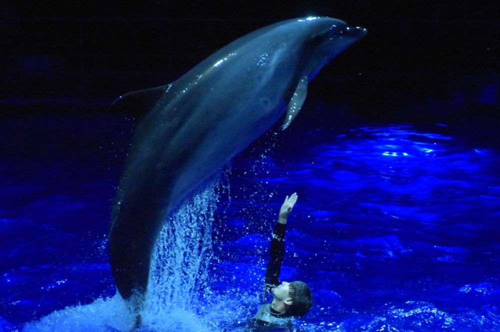 at マクセル アクアパーク品川