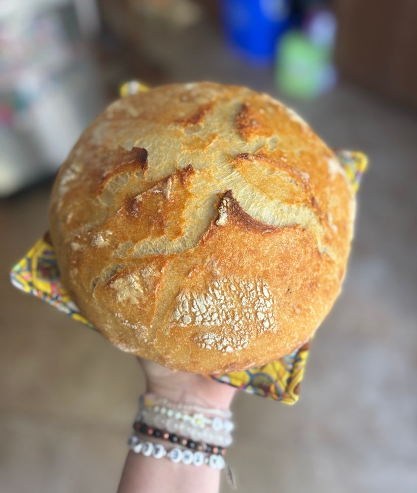 A loaf of bread with a golden top