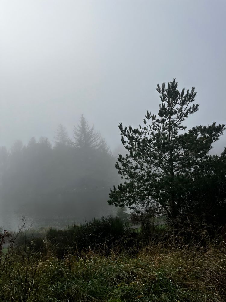 A super foggy lake