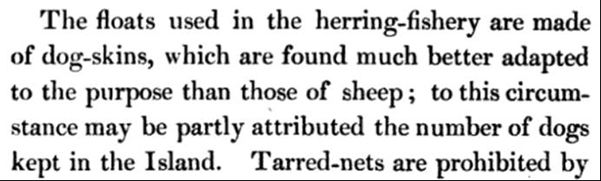 The floats used in the herring-fishery are made of dog-skins, which are found much better adapted to the purpose than those of sheep; to this circumstance may be partly attributed the number of dogs kept in the Island. Tarred-nets are prohibited by
