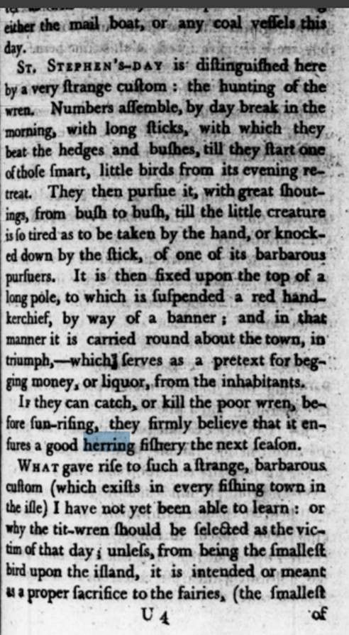 Text from a page in a book. 
St. Stephen's Day is distinguished here by a very strange custom: the hunting of the wren. Numbers assemble, by day break in the morning, with long sticks, with which they beat the hedges and bushes, till they start one of those smart, little birds from its evening re-treat. They they pursue it, with great shoutings, from bush to bush, till the little creature is so tired as to be taken by the hand, or knocked down by the stick, of one of its barbarous pursuers. It is then fixed upon the top of a long pole, to which is suspended a red handkerchief, by wat of a banner; and in that manner it is carried round about the town, in triumph,- which serves as a pretext for begging money, or liquor , from the inhabitants. If they can catch, or kill the poor wren, before sun-rising, they firmly believe that it ensures a good herring fishery the next season. What gave rise to such a strange, barbarous custom (which exists in every fishing town in the isle) I have not yet been able to learn: or why the tit-wren should be selected as the victim of that day; unless, from being the smallest bird upon the island, it is intended or meant as a proper sacrifice to the fairies