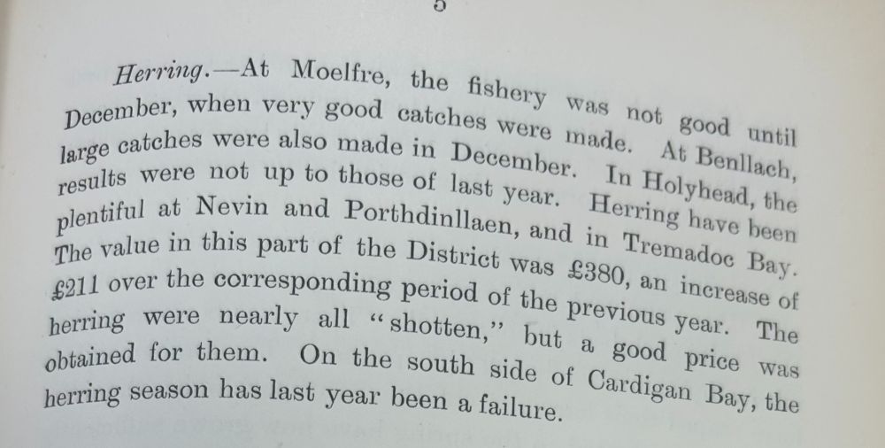 Passage from a book reads Herring- At Moelfre, the fishery was not good until December, when very good catches were made. At Benllach, large catches were also made in December. In Holyhead, the results were not up to those of last year. Herring have been plentiful at Nevin and Porthdinllaen, and in Tremadoc Bay. The value in this part of the District was £380, an  increase of £211 over the corresponding period of the previous year. The herring were nearly all "shotten", but a good price was obtained for them. On the south side of Cardigan Bay, the herring season has last year been a failure. 