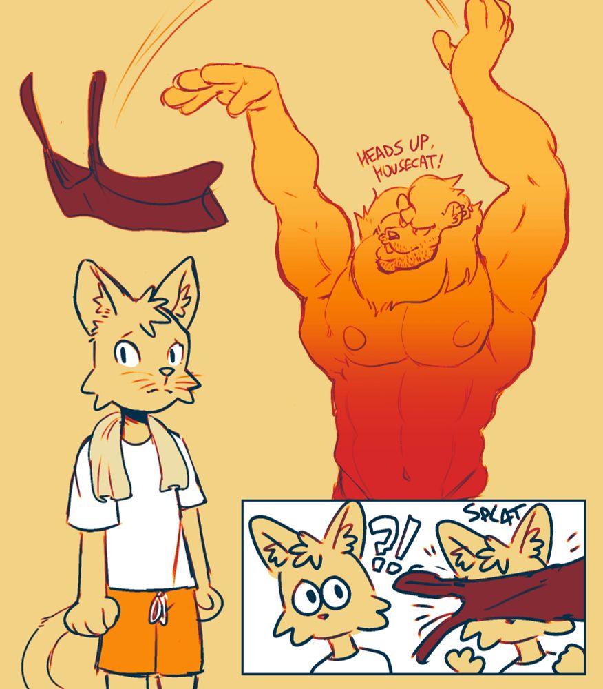 Gymbro throws his sweaty tank to an unsuspecting housecat.