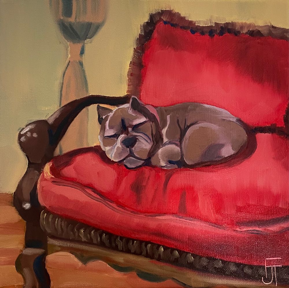 Peaceful dog (pitbull-bulldog mix) sleeping on a red chair 
