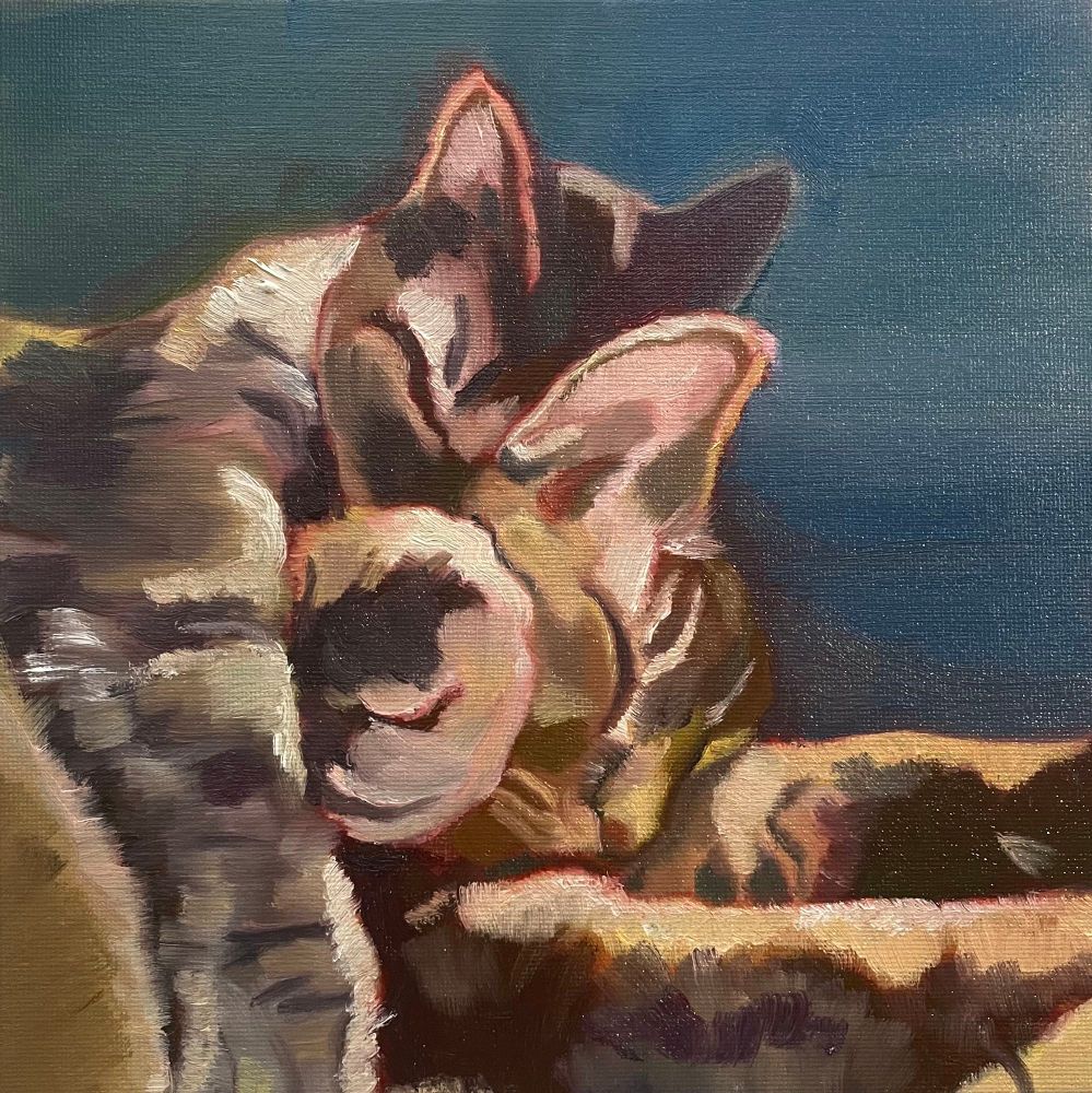 Oil painting of two Devon Rex cats snuggling and sleeping 