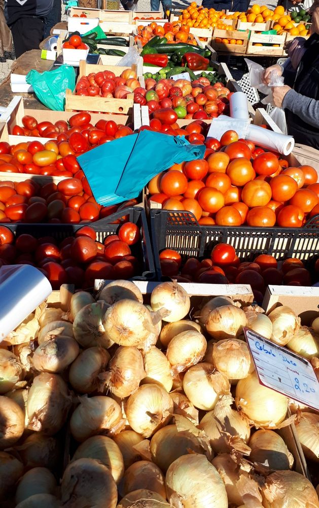 Ein Marktstand mit 'gelben' Zwiebel, Tomaten in verschiedenen Reifegraden und Orangen. Darauf liegen Plastiktüten in Transparent und Blautönen.