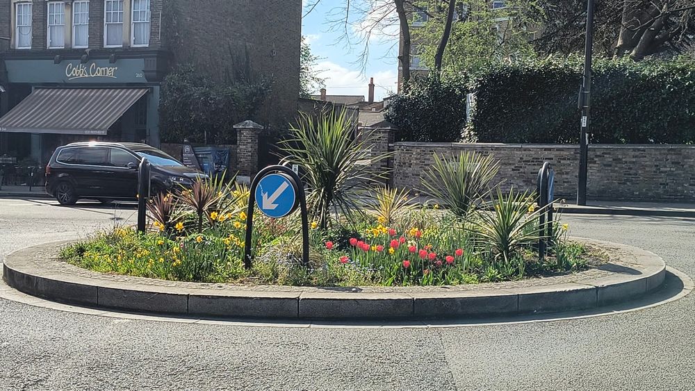 Red & yello tulips and daffodils on roundabout