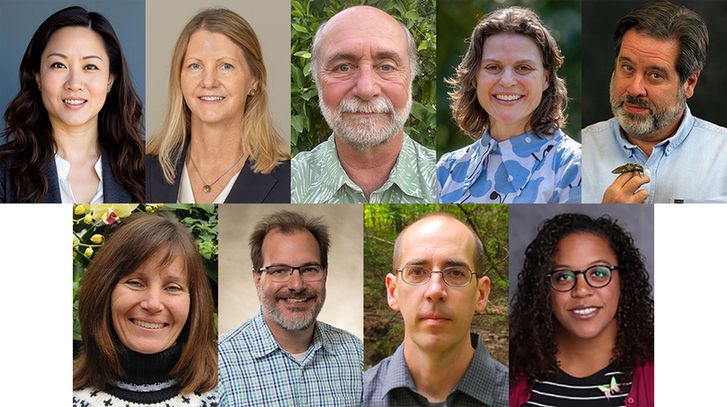 A collage of nine headshots featuring five women and four men of varying ages, all smiling or with neutral expressions, with a variety of backgrounds including outdoor scenes and plain backdrops.