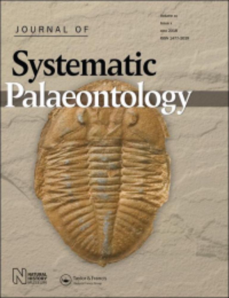 Cranial anatomy of Bagualia alba (Dinosauria, Eusauropoda) from the Early Jurassic of Patagonia and the implications for sauropod cranial evolution